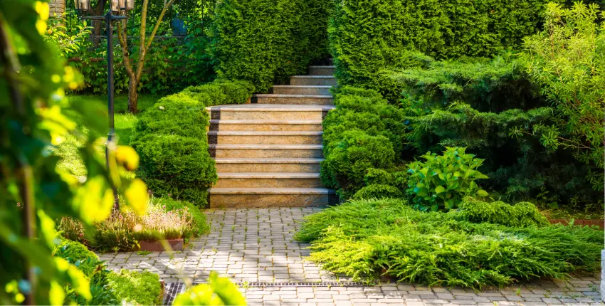 Landscape Design (3)